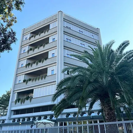 Hh Il Gabbiano לה ספציה